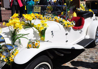 nantucket daffodil festival